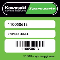 Ekspresowa dostawa CYLINDER-ENGINE