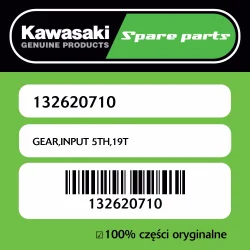 GEAR,INPUT 5TH,19T Tylko dziś