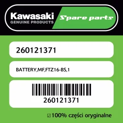 Premium BATTERY,MF,FTZ16-BS,1