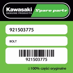 Śruba Kawasaki Dostępne od ręki
