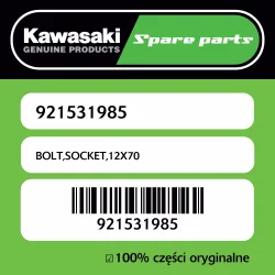 Oferta czasowa Śruba imbusowa 12X70 Kawasaki