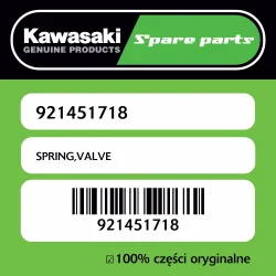 Bezpieczna płatność SPRING,VALVE