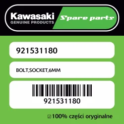 Śruba imbusowa 6MM Kawasaki Tylko do końca tygodnia