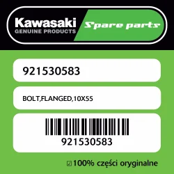 Oferta czasowa Śruba z kołnierzem 10X55 Kawasaki