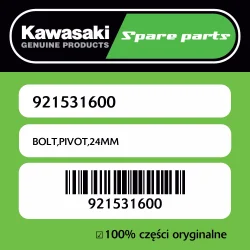 Kup teraz BOLT,PIVOT,24MM