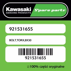Oferta czasowa Śruba Torx 8X30 Kawasaki
