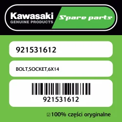 Śruba imbusowa 6X14 Kawasaki Do wyczerpania zapasów