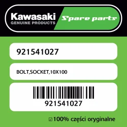 Śruba imbusowa 10X100 Kawasaki Tani