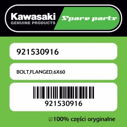 Śruba z kołnierzem 6X60 Kawasaki Tylko dziś