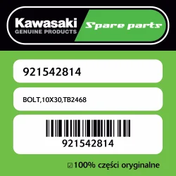 Śruba 10X30,TB2468 Kawasaki Ostatnia szansa