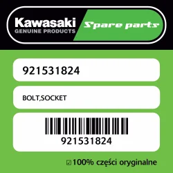 Śruba imbusowa Kawasaki Oferta czasowa