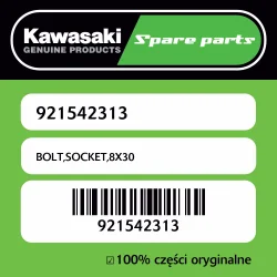 Śruba imbusowa 8X30 Kawasaki Darmowa dostawa