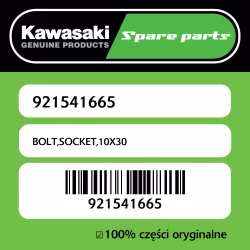 Obniżka ceny Śruba imbusowa 10X30 Kawasaki