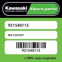 Ograniczona ilość Śruba imbusowa Kawasaki