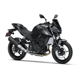 Oferta limitowana Pakiet SE Performance Remus Z500 Ebony / Metallic Carbon Gray 2026