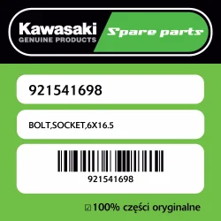 Szybka wysyłka Śruba imbusowa 6X16.5 Kawasaki