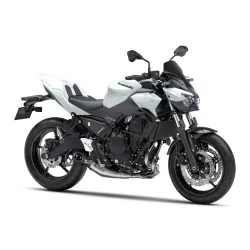 Rabat Pakiet SE Performance Akrapovič Z650 Pearl Blizzard White 2026