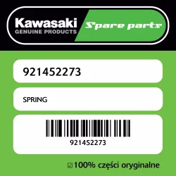 Zamów dziś SPRING