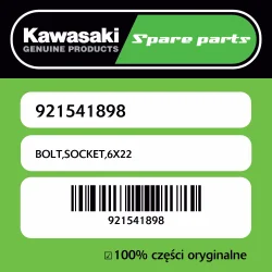Szybka dostawa Śruba imbusowa 6X22 Kawasaki