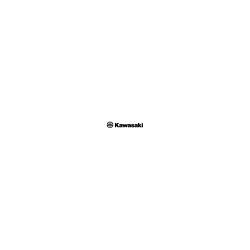 Dodaj do koszyka GRAPHITE GASKET